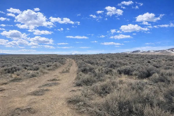 Winter creek rd; Deeth, NV, 89823 Land for Sale 19.72 ACRES WITHIN 15 MIN OF I-80 ACCESS